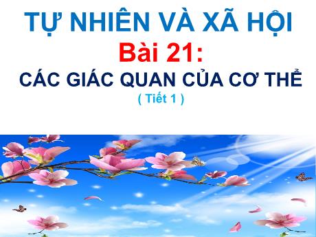 Ài giảng Tự nhiên và Xã hội Lớp 1 (Kết nối tri thức) - Chủ đề 5: Con người và sức khỏe - Bài 21: Các giác quan của cơ thể (Tiết 1)