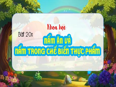 Bài giảng Khoa học Lớp 4 (Kết nối tri thức) - Chủ đề 4: Nấm - Bài 20: Nấm ăn và nấm trong chế biến thực phẩm