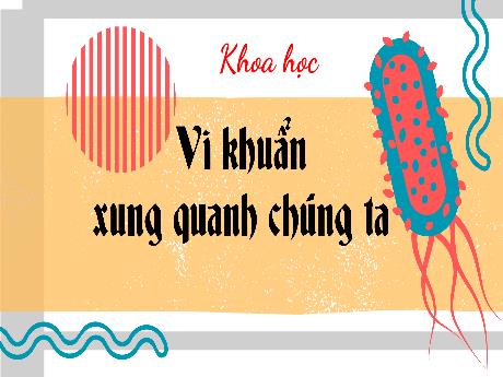 Bài giảng Khoa học Lớp 5 (Kết nối tri thức) - Chủ đề 4: Vi khuẩn - Bài 21: Ôn tập chủ đề vi khuẩn