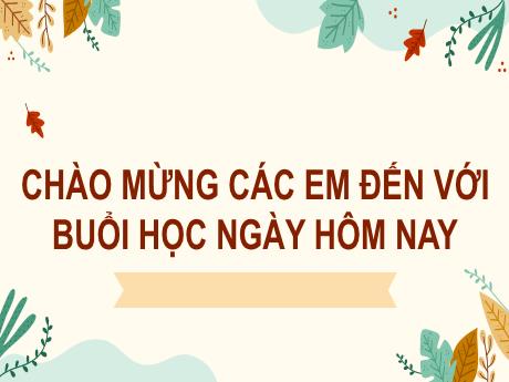 Bài giảng Tiếng Việt Lớp 2 (Kết nối tri thức) - Chủ điểm 3: Niềm vui tuổi thơ - Bài 20. Tiết 1+2: Đọc Nhím nâu kết bạn