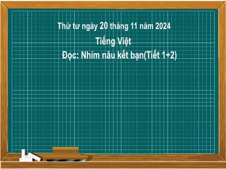 Bài giảng Tiếng Việt Lớp 2 (Kết nối tri thức) - Chủ điểm 3: Niềm vui tuổi thơ - Bài 20: Đọc Nhím nâu kết bạn (Tiết 1+2) - Năm học 2024-2025