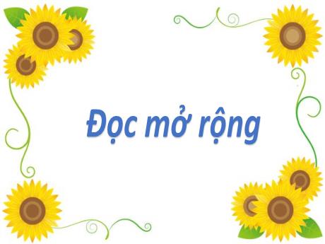 Bài giảng Tiếng Việt Lớp 2 (Kết nối tri thức) - Chủ điểm 5: Vẻ đẹp quanh em - Bài 8: Đọc mở rộng - Năm học 2024-2025