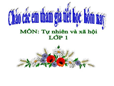 Bài giảng Tự nhiên và Xã hội 1 (Kết nối tri thức) - Chủ đề 5: Con người và sức khỏe - Bài 22: Ăn, uống hằng ngày