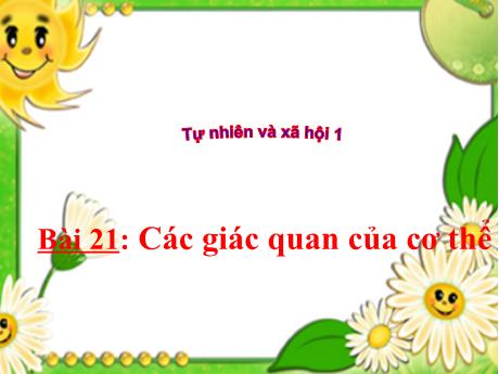 Bài giảng Tự nhiên và Xã hội 1 (Kết nối tri thức) - Chủ đề 5: Con người và sức khỏe - Bài 21: Các giác quan của cơ thể