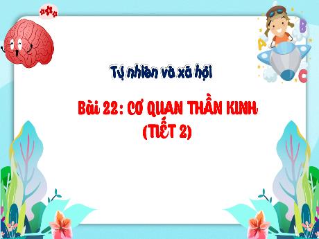 Bài giảng Tự nhiên và Xã hội Lớp 3 (Kết nối tri thức) - Chủ đề 5: Con người và sức khỏe - Bài 22: Cơ quan thần kinh (Tiết 2)