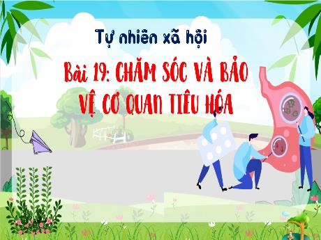 Bài giảng Tự nhiên và Xã hội Lớp 3 (Kết nối tri thức) - Chủ đề 5: Con người và sức khỏe - Bài 19: Chăm sóc và bảo vệ cơ quan tiêu hóa