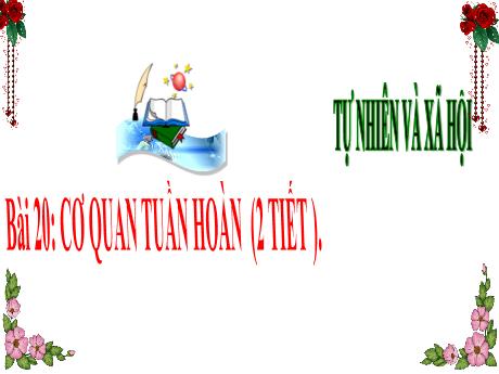 Bài giảng Tự nhiên và Xã hội Lớp 3 (Kết nối tri thức) - Chủ đề 5: Con người và sức khỏe - Bài 20: Cơ quan tuần hoàn