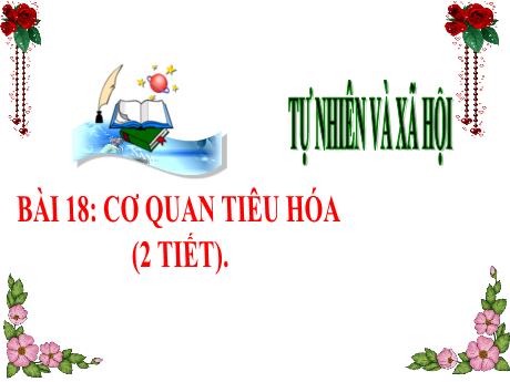 Bài giảng Tự nhiên và Xã hội Lớp 3 (Kết nối tri thức) - Chủ đề 5: Con người và sức khỏe - Bài 18: Cơ quan tiêu hóa
